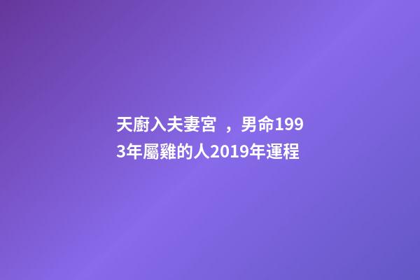 天廚入夫妻宮，男命1993年屬雞的人2019年運程